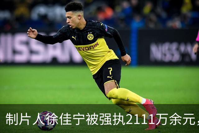 制片人徐佳宁被强执2111万余元，他和李小冉真实婚姻关系浮出水面
